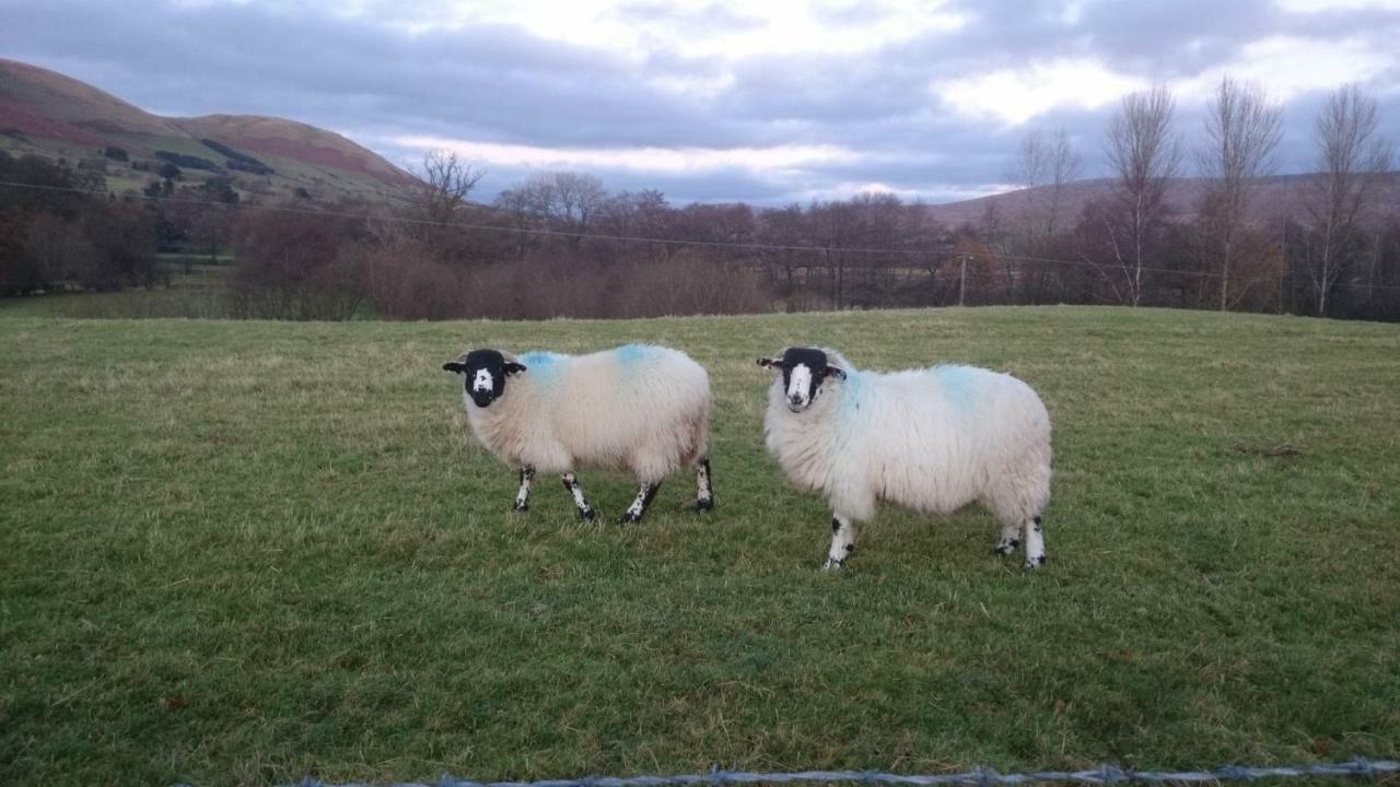 La'Al Yam Villa Sedbergh Buitenkant foto