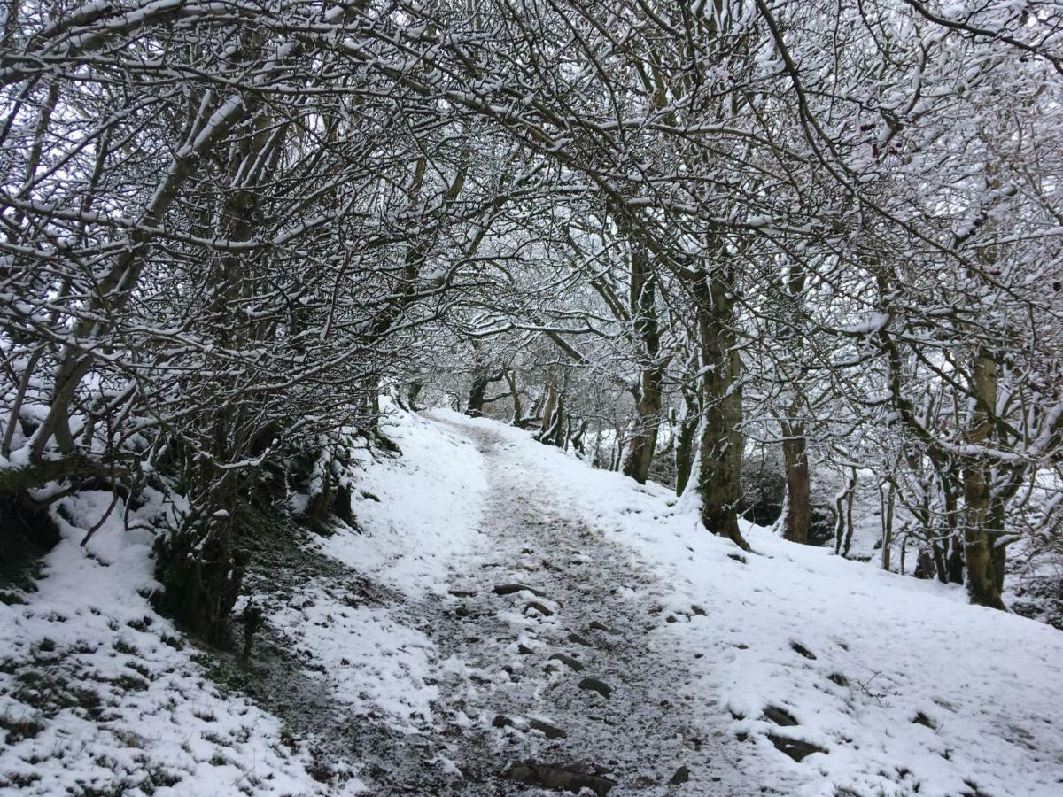 La'Al Yam Villa Sedbergh Buitenkant foto